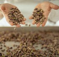 Il Torrone 1 q1V5A1296