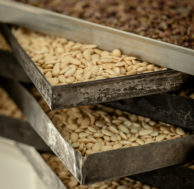 Il Torrone 2 q1V5A1567